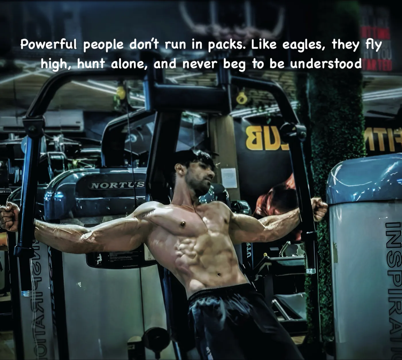 Eagles Fly Alone